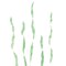 Seaweed Wall Stencil | 2365 by Designer Stencils | Outdoor Stencils | Reusable Art Craft Stencils for Painting on Walls, Canvas, Wood | Reusable Plastic Paint Stencil for Home Makeover | Easy to Use & Clean Art Stencil